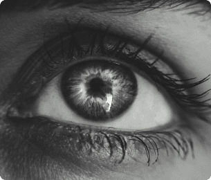 Blood Vessel Recognition in Retinal Images